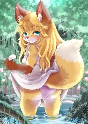 Rule 34 | 1girl, animal ear fluff, animal ears, ass, blonde hair, blue eyes, blush, body fur, clothes lift, dress, dress lift, female focus, fox ears, fox tail, from behind, furry, furry female, lifting own clothes, long hair, looking at viewer, looking back, moss, nature, original, outdoors, panties, partially submerged, plant, pond, setouchi kurage, solo, tail, underwear, vines, wading, water, white dress, white panties, yellow fur
