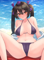 Rule 34 | 1girl, absurdres, alternate costume, beach, bikini, blush, bow, breasts, brown eyes, brown hair, closed mouth, commentary request, expressionless, feet out of frame, hair between eyes, hair bow, hat, highres, himekaidou hatate, ke-su, large breasts, long hair, looking at viewer, navel, no wings, partially visible vulva, pointy ears, purple bikini, purple bow, purple hat, sand, solo, spread legs, swimsuit, tokin hat, touhou, twintails, water
