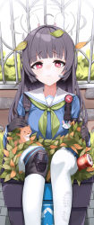 Rule 34 | 1girl, ahoge, animal ears, black gloves, black hair, blue archive, blue serafuku, blue skirt, blush, bright pupils, dirty, dirty clothes, fake animal ears, gloves, green neckerchief, halo, headpiece, in container, knee pads, leaf, leaf on head, long hair, miyu (blue archive), neckerchief, outdoors, pantyhose, rabbit ears, red eyes, sailor collar, school uniform, serafuku, single knee pad, skirt, solo, squirrel, su901, tears, trash can, two-tone skirt, wavy mouth, weasel, white pantyhose, white pupils, white sailor collar, white skirt