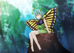 Rule 34 | 1girl, antennae, aqua hair, barefoot, blush, butterfly wings, closed mouth, dress, eternity larva, fairy, green dress, hair between eyes, insect wings, jemen, leaf, leaf on head, multicolored clothes, multicolored dress, short hair, short sleeves, sitting, smile, solo, touhou, tree, wings, yellow eyes
