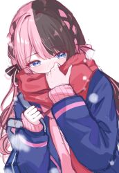 Rule 34 | 1girl, absurdres, black bow, blue eyes, blue jacket, blush, bow, braid, brown hair, dutch angle, hair bow, hair intakes, hand up, highres, jacket, long hair, long sleeves, looking at viewer, multicolored hair, nose blush, open clothes, open jacket, pink hair, pink sweater, red scarf, ribbed sweater, scarf, shinshia (sinsia 0928), sidelocks, simple background, sleeves past wrists, solo, straight hair, sweater, tachibana hinano (vtuber), two-tone hair, upper body, virtual youtuber, vspo!, white background