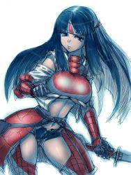 Rule 34 | 1girl, armor, black eyes, black hair, breasts, capcom, detached sleeves, fumio (rsqkr), lao-shan lung (armor), large breasts, long hair, monster hunter (series), sketch, solo, sword, underboob, weapon