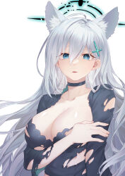 Rule 34 | 1girl, aesice, blue archive, breasts, cleavage, grey hair, highres, large breasts, long hair, looking at viewer, shiroko (blue archive), shiroko terror (blue archive), simple background, solo, torn clothes