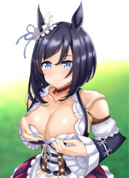 Rule 34 | 1girl, absurdres, animal ears, apron, bare shoulders, black hair, black sleeves, blouse, blue eyes, bob cut, bodice, breasts, choker, cleavage, commentary request, detached sleeves, dirndl, ear ornament, ear scrunchie, eishin flash (umamusume), frilled apron, frilled sleeves, frills, from side, german clothes, grabbing own breast, grass, hair between eyes, highres, horse ears, horse girl, large breasts, looking at viewer, outdoors, red choker, scrunchie, shirt, short hair, smile, solo, tessa (uma orfevre), umamusume, upper body, white apron, white scrunchie, white shirt