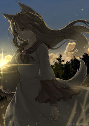 Rule 34 | 1girl, animal ears, backlighting, blue sky, bracelet, breasts, brooch, brown hair, closed mouth, collarbone, cowboy shot, day, dress, fingernails, gem, half-closed eyes, head tilt, imaizumi kagerou, iris anemone, jewelry, light particles, light rays, long hair, long sleeves, morning, nail polish, red eyes, red nails, sky, small breasts, solo, standing, sun, sunlight, tail, touhou, twitter username, white dress, wide sleeves, wind, wind lift, wolf ears, wolf tail