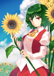 Rule 34 | 1girl, absurdres, armband, ascot, bad id, bad pixiv id, blue sky, blurry, breasts, cloud, collared shirt, day, depth of field, fingernails, flower, from side, garden of the sun, green hair, highres, holding, holding flower, houmatu awa, kazami yuuka, long skirt, long sleeves, looking at viewer, medium breasts, open clothes, open vest, puffy long sleeves, puffy sleeves, red eyes, red skirt, shirt, short hair, sideways glance, skirt, sky, smile, solo, sunflower, touhou, untucked shirt, vest