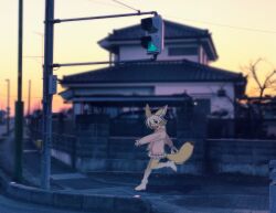 Rule 34 | 1girl, animal ears, bad id, bad twitter id, bag, blonde hair, brown eyes, cardigan, extra ears, fence, fennec (kemono friends), fox ears, fox tail, full body, highres, holding, holding bag, house, inactive account, jmeysan, kemono friends, long sleeves, looking at viewer, multicolored hair, open mouth, outdoors, photo background, pink cardigan, pleated skirt, road, shopping bag, short hair, skirt, smile, solo, standing, standing on one leg, street, tail, traffic light, utility pole, white hair, white skirt