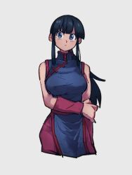 Rule 34 | 1girl, black eyes, black hair, blue dress, blunt bangs, breasts, chi-chi (dragon ball), china dress, chinese clothes, closed mouth, cropped legs, dragon ball, dragon ball (classic), dress, grey background, hand on own arm, kemachiku, large breasts, long hair, looking at viewer, pants, pelvic curtain, ponytail, sidelocks, simple background, sleeveless, sleeveless dress, solo, turtleneck, turtleneck dress
