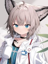 Rule 34 | 1girl, absurdres, ahoge, animal ear fluff, animal ears, arknights, black choker, blue eyes, blue shirt, brown hair, choker, closed mouth, commentary request, cup, gloves, hair between eyes, highres, holding, holding cup, inuyayo, jacket, long sleeves, looking at viewer, material growth, mug, open clothes, open jacket, oripathy lesion (arknights), shirt, solo, steam, sussurro (arknights), white gloves, white jacket