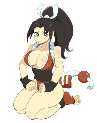 Rule 34 | 1girl, breasts, fatal fury, highres, large breasts, ponytail, shiranui mai, solo