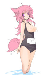 Rule 34 | 1girl, animal ears, black one-piece swimsuit, breasts, large breasts, name tag, nipples, one-piece swimsuit, pink hair, school swimsuit, shijou sadafumi, solo, swimsuit, tail