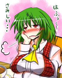 Rule 34 | 1girl, ascot, blush, breast press, breast rest, breasts, breath, covered erect nipples, cup, female focus, green hair, head rest, huge breasts, kazami yuuka, lonely, plaid, plaid vest, red eyes, rindou (p41neko), shirt, sigh, solo, taut clothes, taut shirt, tea, teacup, tears, touhou, translation request, vest