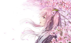 Rule 34 | 1girl, aqua eyes, cherry blossoms, floating hair, flower, hair flower, hair ornament, highres, long hair, open mouth, original, pink flower, pink hair, profile, re (re 09), solo, twintails, upper body, very long hair, white background