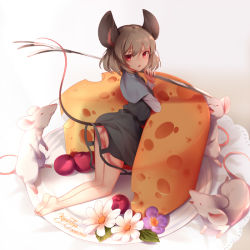 Rule 34 | 1girl, animal ears, ass, bare legs, barefoot, black dress, capelet, cheese, dress, food, from behind, full body, grey hair, jewelry, kneeling, kyuri tizu, looking at viewer, mini person, minigirl, mouse (animal), mouse ears, mouse tail, nazrin, open mouth, oversized object, pendant, red eyes, serious, short dress, solo, tail, thighs, touhou
