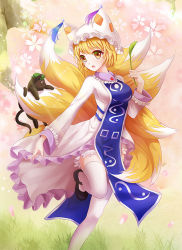 Rule 34 | 1girl, blonde hair, breasts, cat teaser, chen, chen (cat), cherry blossoms, dress, fox tail, gradient background, grass, hat, hat with ears, long sleeves, looking at viewer, mary janes, medium breasts, miao miao, mob cap, multiple tails, open mouth, petticoat, shoes, short hair, standing, standing on one leg, tabard, tail, tail grab, tassel, thighhighs, touhou, tree, white dress, white thighhighs, yakumo ran, yellow eyes