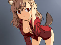 Rule 34 | 1girl, adjusting hair, animal ears, bad id, bad pixiv id, blue background, breasts, brown eyes, brown hair, cleavage, fernandia malvezzi, gradient background, leaning forward, light smile, long hair, looking at viewer, mackey (mthc riku), medium breasts, no pants, open clothes, open shirt, panties, shirt, simple background, solo, strike witches, strike witches: kurenai no majo-tachi, tail, underwear, world witches series