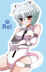 Rule 34 | 1girl, adapted costume, animal ears, ayanami rei, bare shoulders, blue background, blush, body blush, bracer, breasts, cat ears, cat tail, character name, cowboy shot, crossed arms, detached sleeves, fake animal ears, fake tail, from side, gloves, grimrock! mix edition, hair between eyes, halterneck, kaga taichi, kemonomimi mode, large breasts, leotard, light smile, looking at viewer, neon genesis evangelion, outline, paw print, pilot suit, plugsuit, red eyes, saga taichi, see-through, short hair, silver hair, simple background, smile, solo, super plugsuit, tail, turtleneck