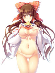 Rule 34 | 1girl, ascot, bow, bra, breasts, brown hair, cleavage, clothes in mouth, clothes lift, detached sleeves, groin, hair bow, hair tubes, hakurei reimu, highres, large breasts, liya, long hair, looking at viewer, mouth hold, multicolored eyes, navel, panties, red bow, red eyes, ribbon-trimmed sleeves, ribbon trim, shirt in mouth, shirt lift, simple background, solo, standing, stomach, thigh gap, touhou, underboob, underwear, wavy hair, white background, yellow eyes