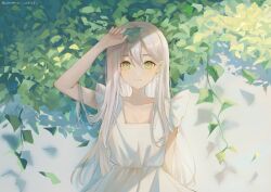 Rule 34 | 1girl, arm up, breasts, closed mouth, commentary, cowboy shot, dress, earrings, frilled sleeves, frills, green eyes, grey hair, hair between eyes, highres, holding, holding leaf, jewelry, leaf, long hair, looking at viewer, original, plant, pointy ears, short sleeves, small breasts, solo, sumi 0525, symbol-only commentary, twitter username, white dress