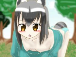 Rule 34 | 10s, 1girl, accidental exposure, animal ears, bent over, blush, breasts, brown eyes, cleavage, cloud, common raccoon (kemono friends), downblouse, extended downblouse, grey hair, hanging breasts, kemono friends, long hair, loose clothes, medium breasts, no bra, open mouth, outdoors, raccoon ears, raccoon tail, sky, solo, tail, tree, wkenchanw