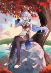 Rule 34 | 1girl, absurdres, ahoge, autumn leaves, bare shoulders, bell, black gloves, black pantyhose, blue hair, breasts, bug, butterfly, chinese knot, detached sleeves, dusk, flower knot, full body, ganyu (genshin impact), genshin impact, gloves, gold trim, high heels, highres, horns, insect, long hair, looking at another, medium breasts, neck bell, orange sky, outdoors, pantyhose, purple eyes, rock, sidelocks, sitting, sitting on rock, sky, solo, thighlet, thighs, tree, umaru, vision (genshin impact), white sleeves