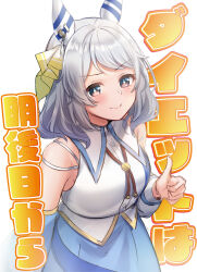 Rule 34 | &gt;:), 1girl, animal ears, bare shoulders, blue skirt, breasts, closed mouth, commentary request, detached sleeves, grey hair, hand up, high-waist skirt, highres, hishi miracle (umamusume), horse ears, large breasts, long hair, long sleeves, puffy long sleeves, puffy sleeves, red eyes, rukinya (nyanko mogumogu), shirt, simple background, skirt, sleeveless, sleeveless shirt, smile, solo, thumbs up, translation request, umamusume, v-shaped eyebrows, white background, white shirt, white sleeves