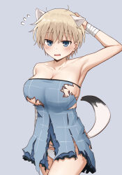 Rule 34 | 1girl, animal ears, armpits, blonde hair, blue background, blue eyes, blush, brave witches, breasts, cleavage, collarbone, emu 1316, highres, large breasts, looking at viewer, nikka edvardine katajainen, open mouth, panties, short hair, simple background, solo, tail, underwear, weasel ears, weasel girl, weasel tail, white panties, world witches series