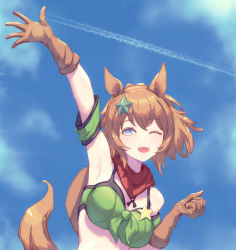 Rule 34 | 1girl, ;d, absurdres, animal ears, arm up, armband, armpits, bandana, bandeau, bare shoulders, bikini, bikini under clothes, blue eyes, blue sky, breasts, brown gloves, brown hair, cloud, commentary, contrail, day, gloves, green armband, hair ornament, hand up, highres, horse ears, large breasts, looking at viewer, midriff, one eye closed, open mouth, outdoors, ponytail, short hair, sky, smile, solo, star (symbol), star hair ornament, stella (stella), swimsuit, taiki shuttle (umamusume), tail, umamusume, upper body