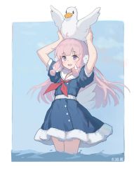 Rule 34 | 1girl, absurdres, animal, animal on head, arms up, bird, bird on head, blue dress, blush, commentary request, dated, dress, hagi (ame hagi), hair ornament, highres, long hair, low wings, neckerchief, on head, original, pink hair, puffy short sleeves, puffy sleeves, purple eyes, red neckerchief, sailor collar, sailor dress, short sleeves, sidelocks, solo, very long hair, wading, water, white sailor collar, white wings, wings