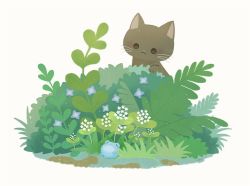 Rule 34 | :3, animal focus, ayu (mog), blush, cat, flower, frog, grass, mixed-language commentary, no humans, original, purple flower, simple background, white background