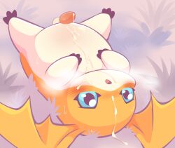 Rule 34 | blue eyes, blush, cum, cum on body, digimon, digimon (creature), driosawm, facial, grass, highres, lying, male focus, on back, outdoors, panting, patamon, small penis, sweat
