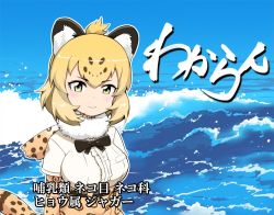 Rule 34 | 10s, 1girl, ad, animal ears, belt, black ribbon, blonde hair, blush, bowieknife, breast pocket, collar, commentary request, day, dot nose, eyebrows, eyelashes, frilled shirt, frills, fur collar, jaguar (kemono friends), jaguar ears, jaguar tail, kemono friends, looking at viewer, meme, multicolored hair, neck ribbon, ocean, outdoors, pocket, ribbon, shirt, short hair, short sleeves, skirt, smile, solo, tail, translation request, tsurime, upper body, water, waves, white shirt, yellow eyes