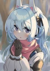 Rule 34 | 1girl, :o, absurdres, animal ears, black bow, black gloves, blue archive, blue eyes, blurry, blurry background, bow, braid, day, fake animal ears, french braid, gloves, grey hair, hair between eyes, hair bow, hands up, headgear, highres, jacket, light blush, long hair, long sleeves, looking at viewer, miyako (blue archive), one side up, outdoors, own hands together, parted lips, pow six, rabbit ears, raised eyebrows, red scarf, scarf, sidelocks, solo, steepled fingers, swept bangs, tree, two-tone gloves, upper body, winter, winter clothes