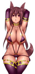Rule 34 | 1girl, animal ears, aoinagi, armpits, arms behind head, arms up, bikini, breasts, brown hair, chestnut mouth, cleavage, collarbone, dog ears, dog tail, elbow gloves, female focus, gloves, large breasts, long hair, open mouth, original, purple bikini, purple eyes, purple gloves, purple thighhighs, solo, swimsuit, tail, thighhighs, very long hair