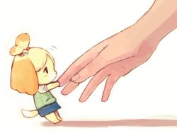 Rule 34 | animal crossing, bad id, bad pixiv id, blonde hair, body fur, dog, dog girl, furry, furry female, isabelle (animal crossing), lemonponpuripuri, looking at another, mini person, minigirl, nintendo, pulling, skirt, solo focus, tail, topknot
