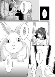 Rule 34 | animal ears, comic, greyscale, highres, inaba tewi, mana (gooney), monochrome, rabbit, rabbit ears, speech bubble, text focus, touhou, translation request
