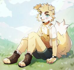 Rule 34 | 1boy, absurdres, animal legs, blush, collar, dog boy, dog tags, dress shirt, floppy ears, furry, furry male, green eyes, hand on ground, hatomura miri, highres, looking at viewer, on grass, on ground, original, shirt, shoes, shorts, smile, toeless footwear, white fur, yellow fur