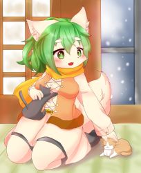 Rule 34 | 1girl, artist request, cat, copyright request, dog, furry, green eyes, green hair, highres, playing, snow, tagme