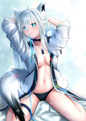 Rule 34 | 1girl, absurdres, animal ears, arms up, bad id, bad pixiv id, black panties, blue ribbon, blush, breasts, choker, closed mouth, commentary request, daidai (daidai826), dog tags, fox ears, fox tail, hair between eyes, highres, hololive, jacket, long hair, looking at viewer, medium breasts, mouth hold, open clothes, open jacket, panties, ribbon, shirakami fubuki, shirakami fubuki (fubukitek), sitting, smile, solo, tail, underwear, very long hair, virtual youtuber, wariza, white hair