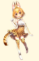 Rule 34 | 1girl, :d, absurdres, animal ear fluff, animal ears, blouse, bow, bowtie, elbow gloves, full body, gloves, hair between eyes, highres, kemono friends, looking at viewer, open mouth, orange eyes, orange hair, orange thighhighs, paw pose, pottsness, serval (kemono friends), serval print, shirt, sleeveless, sleeveless shirt, smile, solo, standing, tail, thighhighs, traditional bowtie, white footwear, white gloves, white shirt
