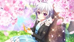 Rule 34 | 1girl, against tree, ahoge, animal, animal on shoulder, black jacket, blue dress, blush, book, cat, cat on shoulder, cherry blossoms, closed mouth, collarbone, day, dot nose, dress, dutch angle, film grain, from side, game cg, grass, grey hair, hanami, holding, holding book, ichijou ruka, izumi tsubasu, jacket, lens flare, looking at viewer, non-web source, official art, on ground, open book, open clothes, open jacket, outdoors, pink petals, pond, purple eyes, re:stage!, reflection, reflective water, short hair with long locks, sitting, smile, solo, sparkle, tree, white cat, zipper