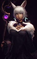 Rule 34 | 1girl, animal ears, black dress, cat ears, closed mouth, distr, dress, earrings, feather earrings, feathers, final fantasy, final fantasy xiv, grey eyes, grey hair, highres, holding, holding staff, jewelry, long sleeves, looking at viewer, miqo&#039;te, solo, staff, y&#039;shtola rhul