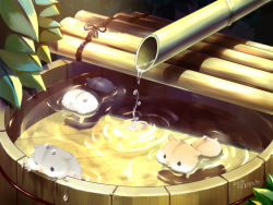 Rule 34 | afloat, animal, animal focus, bamboo, climbing, commentary request, dated, day, dripping, facing away, fountain, hamster, karikankan, no humans, original, swimming, water