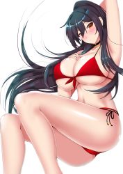 Rule 34 | 1girl, absurdres, arm behind head, arm up, armpits, bad id, bad twitter id, bikini, black choker, black hair, blush, breasts, choker, cleavage, commentary request, front-tie top, hair between eyes, hand on own chest, high ponytail, highres, idolmaster, idolmaster shiny colors, large breasts, long hair, looking at viewer, moo yoshio, red bikini, shirase sakuya, side-tie bottom, sidelocks, swimsuit, thighs, underboob, yellow eyes