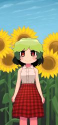 Rule 34 | 1girl, adapted costume, blue sky, blush, blush stickers, closed mouth, cloud, collared shirt, commentary, day, feet out of frame, flower, green hair, highres, kazami yuuka, looking at viewer, no vest, outdoors, plaid, plaid skirt, red eyes, red skirt, shirt, short hair, skirt, sky, sleeveless, sleeveless shirt, smile, solo, standing, sunflower, touhou, ugif, wavy hair, white shirt
