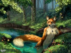 Rule 34 | 1girl, absurdres, animal ears, animal feet, aurru, blue eyes, breasts, bug, butterfly, day, field, flower, flower field, forest, fox ears, fox tail, furry, furry female, highres, insect, jewelry, large tail, leaf, long tail, nature, navel, necklace, nipples, nude, original, outdoors, pussy, small breasts, snout, solo, stream, tail, third-party edit, water, whiskers