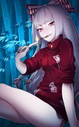 Rule 34 | 1girl, bamboo, bamboo forest, cigarette, fire, flaming hand, forest, fujiwara no mokou, hair ribbon, jacket, lighting cigarette, long hair, looking at viewer, md5 mismatch, nature, red eyes, ribbon, short shorts, shorts, silver hair, sitting, sleeves pushed up, smile, solo, thupoppo, touhou, track jacket, tree, very long hair
