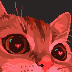 Rule 34 | animal focus, black eyes, cat, close-up, grey background, heart, heart-shaped pupils, looking ahead, meme, original, photo-referenced, pixel art, red theme, simple background, snout, symbol-shaped pupils, tofupixel, whiskers