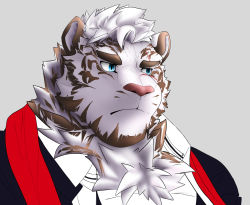 Rule 34 | 1boy, animal ears, arknights, bara, blue eyes, bulge, close-up, expressionless, furry, furry male, highres, jacket, male focus, mountain (arknights), muscular, muscular male, official alternate costume, open clothes, open jacket, open shirt, pectorals, red scarf, scar, scar across eye, scar on face, scarf, short hair, solo, tatsuya (tatsuyaart d), thick eyebrows, tiger boy, tiger ears, tiger stripes, white fur
