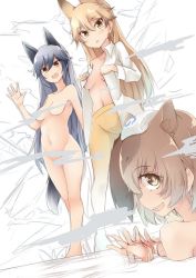 Rule 34 | 10s, 3girls, :d, :o, amai nekuta, animal ears, bath, blonde hair, breasts, brown eyes, brown hair, capybara (kemono friends), capybara ears, convenient censoring, dutch angle, ezo red fox (kemono friends), fox ears, fox tail, from behind, grey hair, kemono friends, long hair, long sleeves, looking at viewer, looking back, medium breasts, multiple girls, navel, no bra, nude, open clothes, open mouth, open shirt, pantyhose, shirt, short hair, silver fox (kemono friends), sitting, sketch, smile, standing, steam, steam censor, tail, undressing, wading, waving, white shirt, yellow legwear
